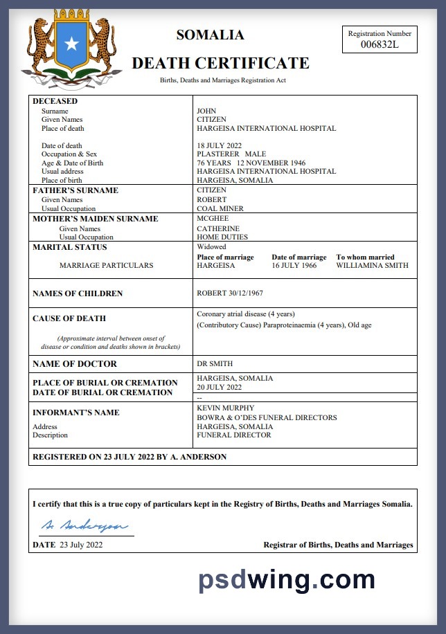 Somalia Vital Record Death Certificate (Word & PDF)